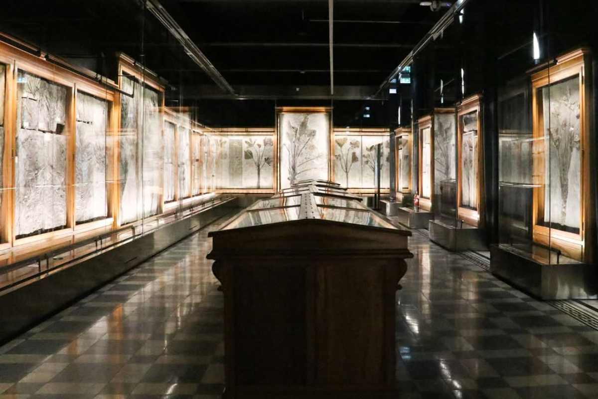 museo uomo natura padova sala