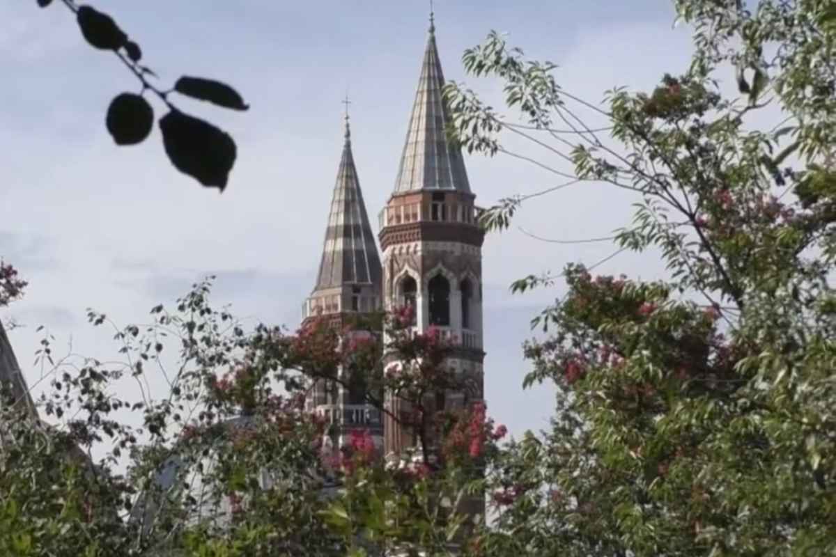 Foto della torre della Cattedrale di Padova, in primo piano piante e foglie